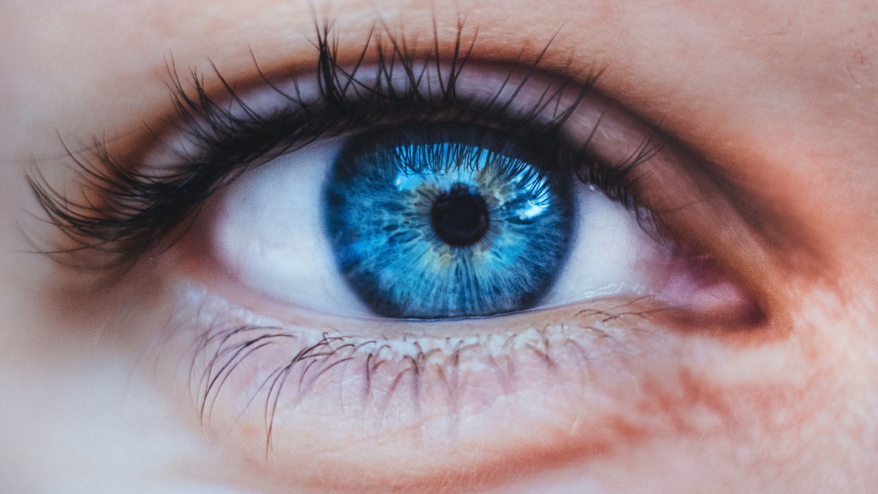 the contact lens exam